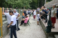 Clicca sulla foto per vedere ingrandimento